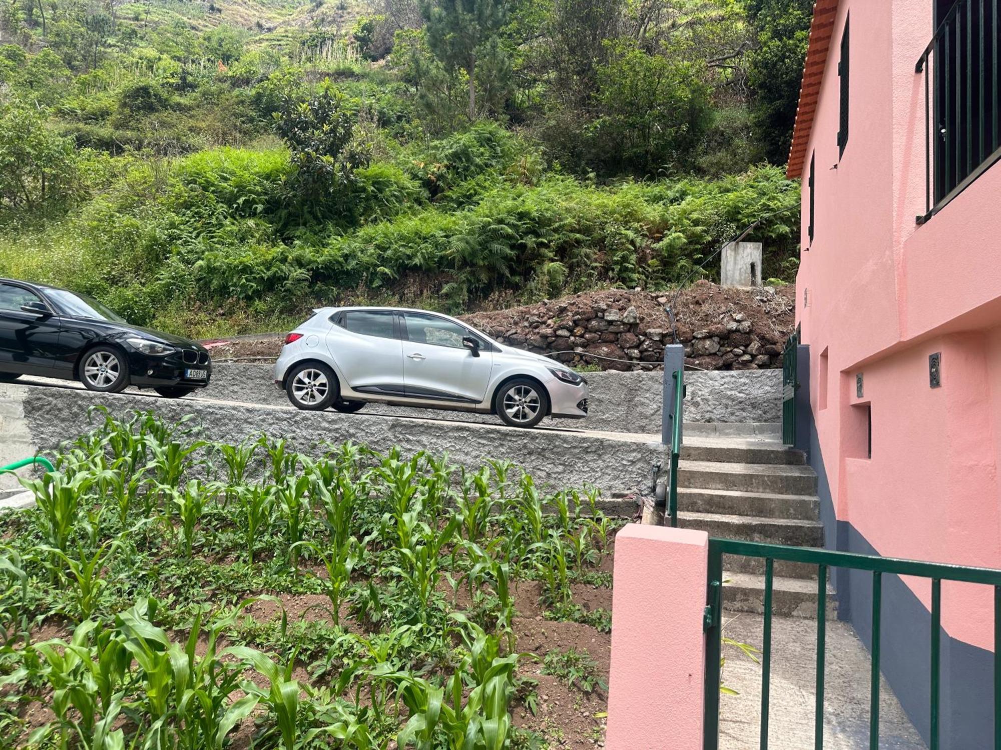 Casa Rosa Ribeira Brava